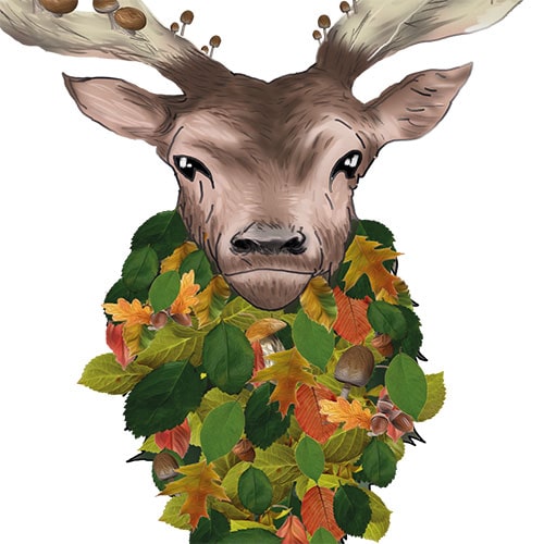 diseño ciervo davidcreativo.es