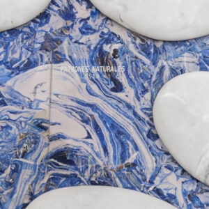 diseño-de-patrones-naturales-davide-pietro-lonoce