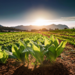 Firefly 20241217015221